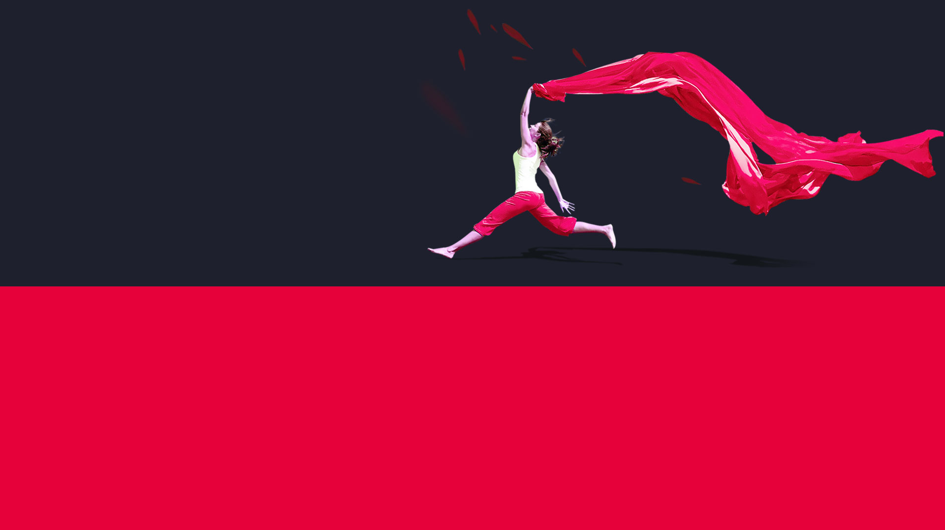 banner